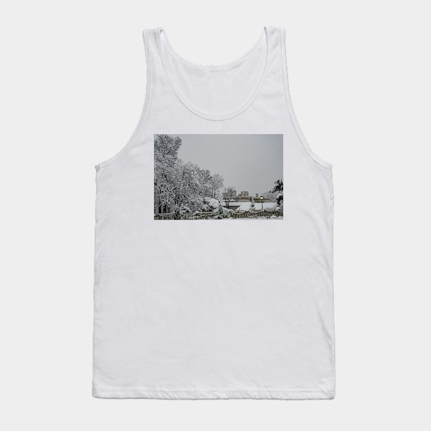 Dundurn Castle and Snow Tank Top by srosu